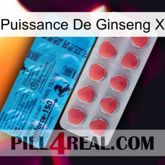 Ginseng Power X new14